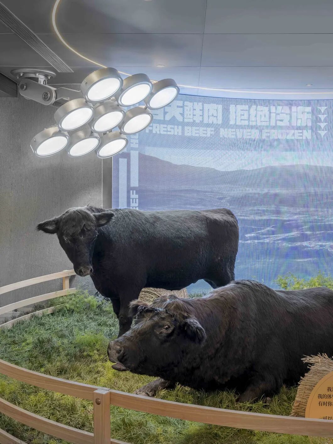 左庭右院 黑金店丨中国上海丨Jingle Design浆果设计研究所-8