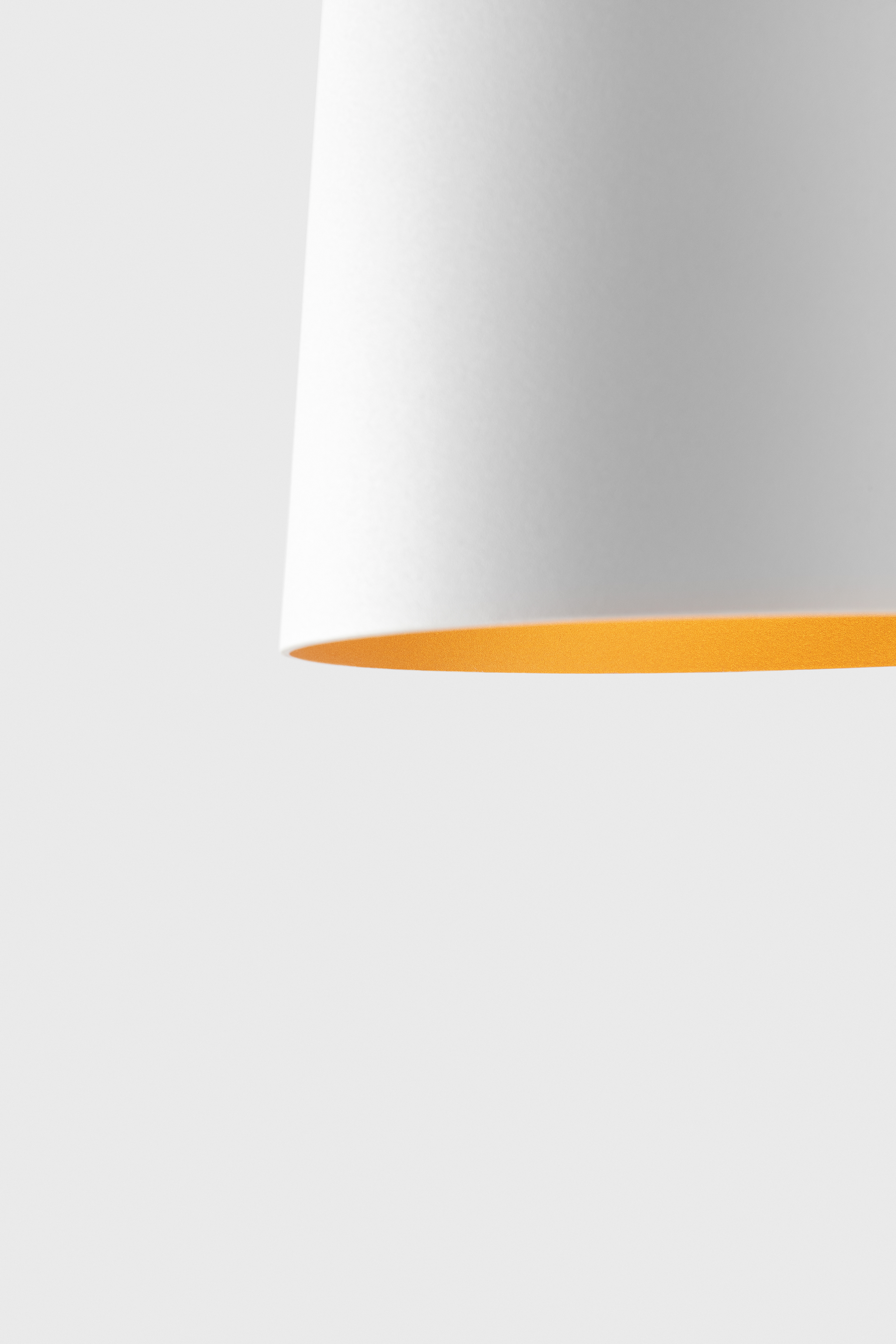 Tulip Bloom Suspended | Tulip | Architectural lighting | Modular Lighting Instruments-0