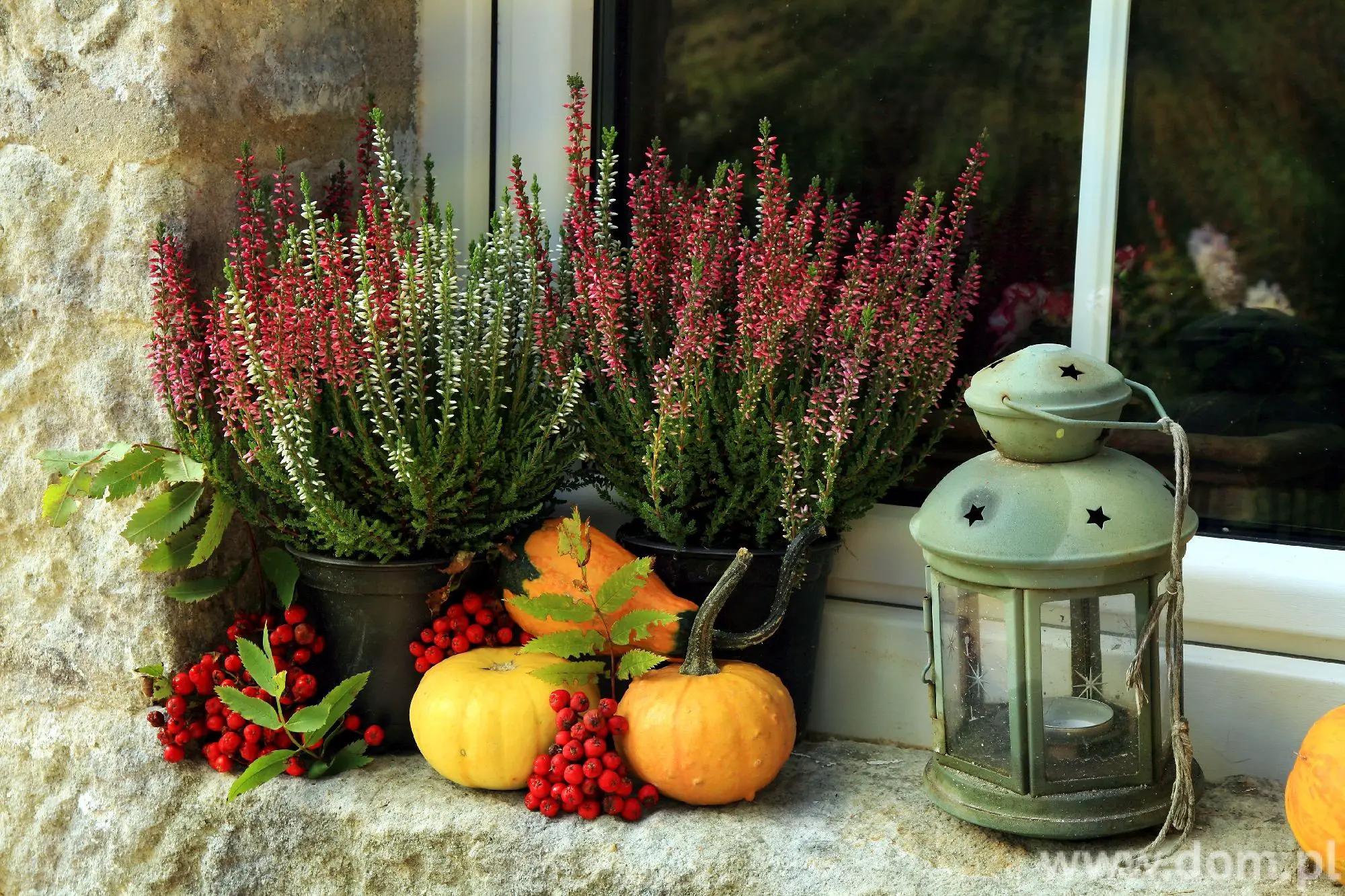 四季之窗 | 打造随季节变化的窗台装饰-13