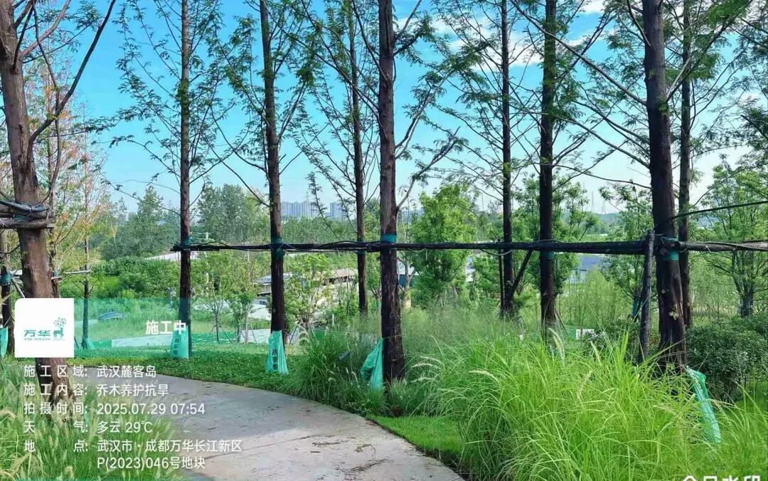 在岛上，过另一种生活丨武汉麓客岛一期一标段&水线公园南区景观工程-110