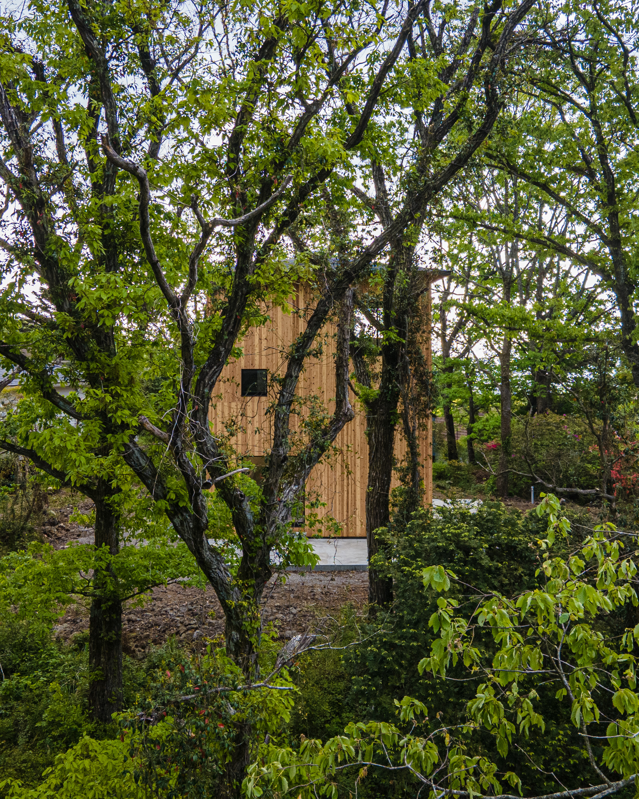 伊豆高原のI邸丨日本静冈丨Florian Busch Architects-47