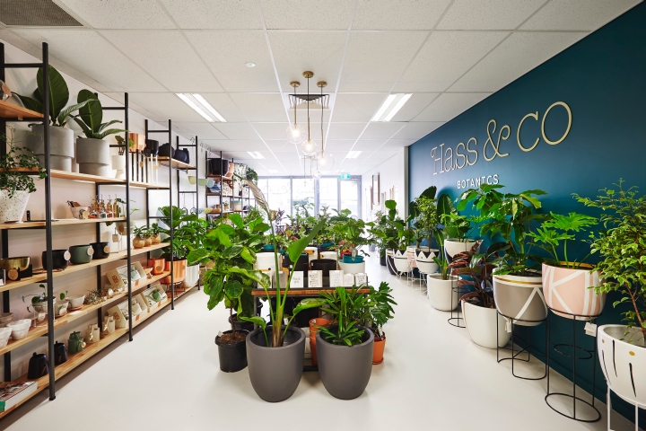 Hass & Co Botanics 店-3