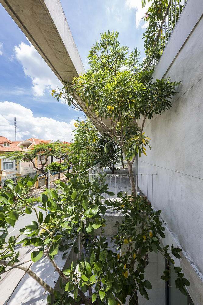 Stacked Planters House  VTN Architects-22