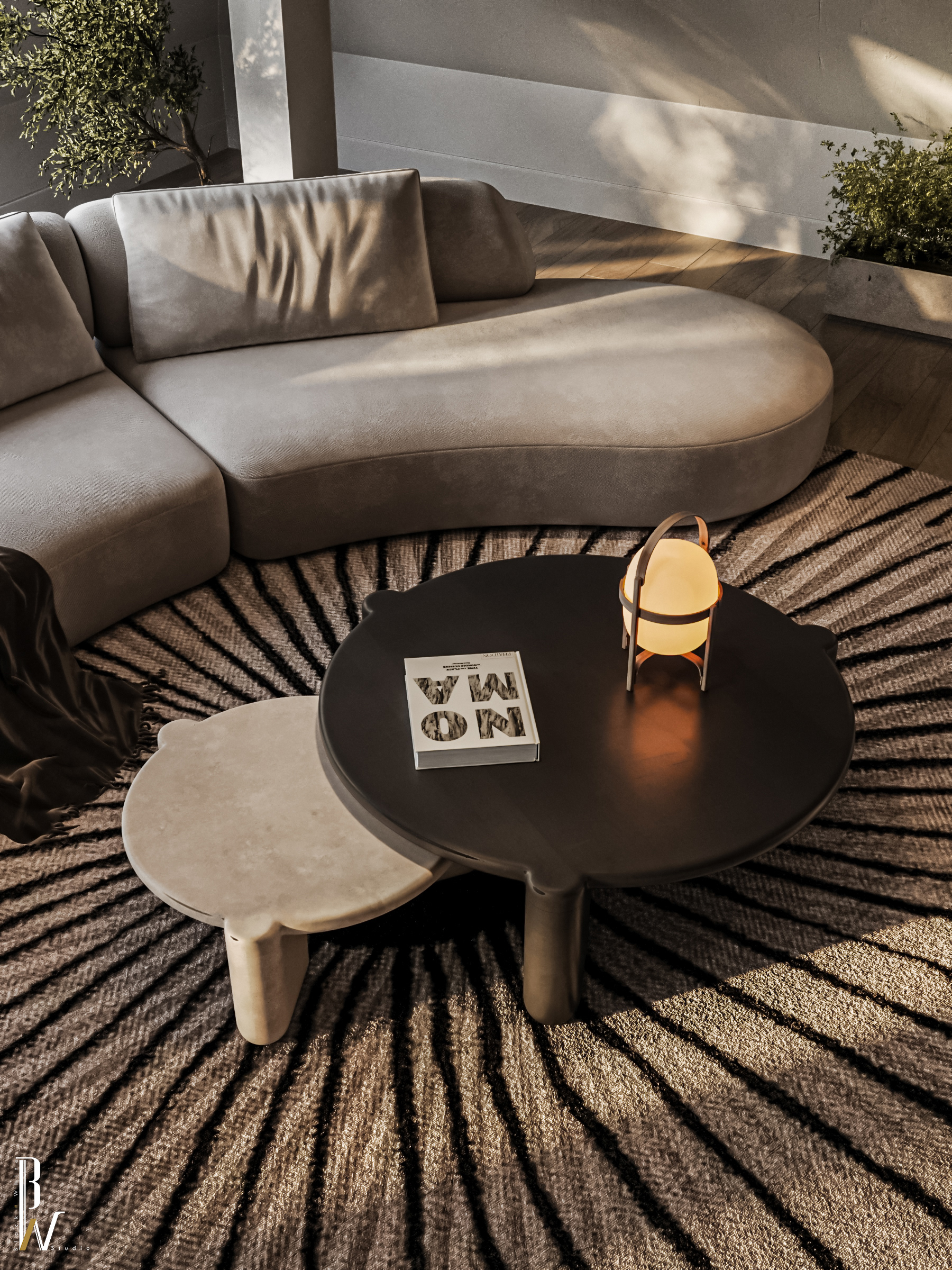 坡顶房屋居住区域丨英国曼彻斯特丨Black N White-19