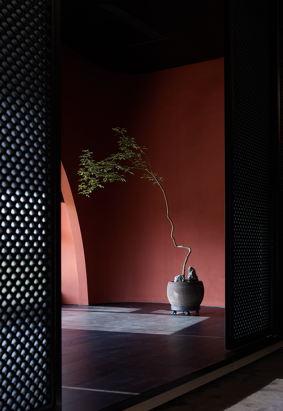 珊瑚海丨中国深圳丨大象未来-100