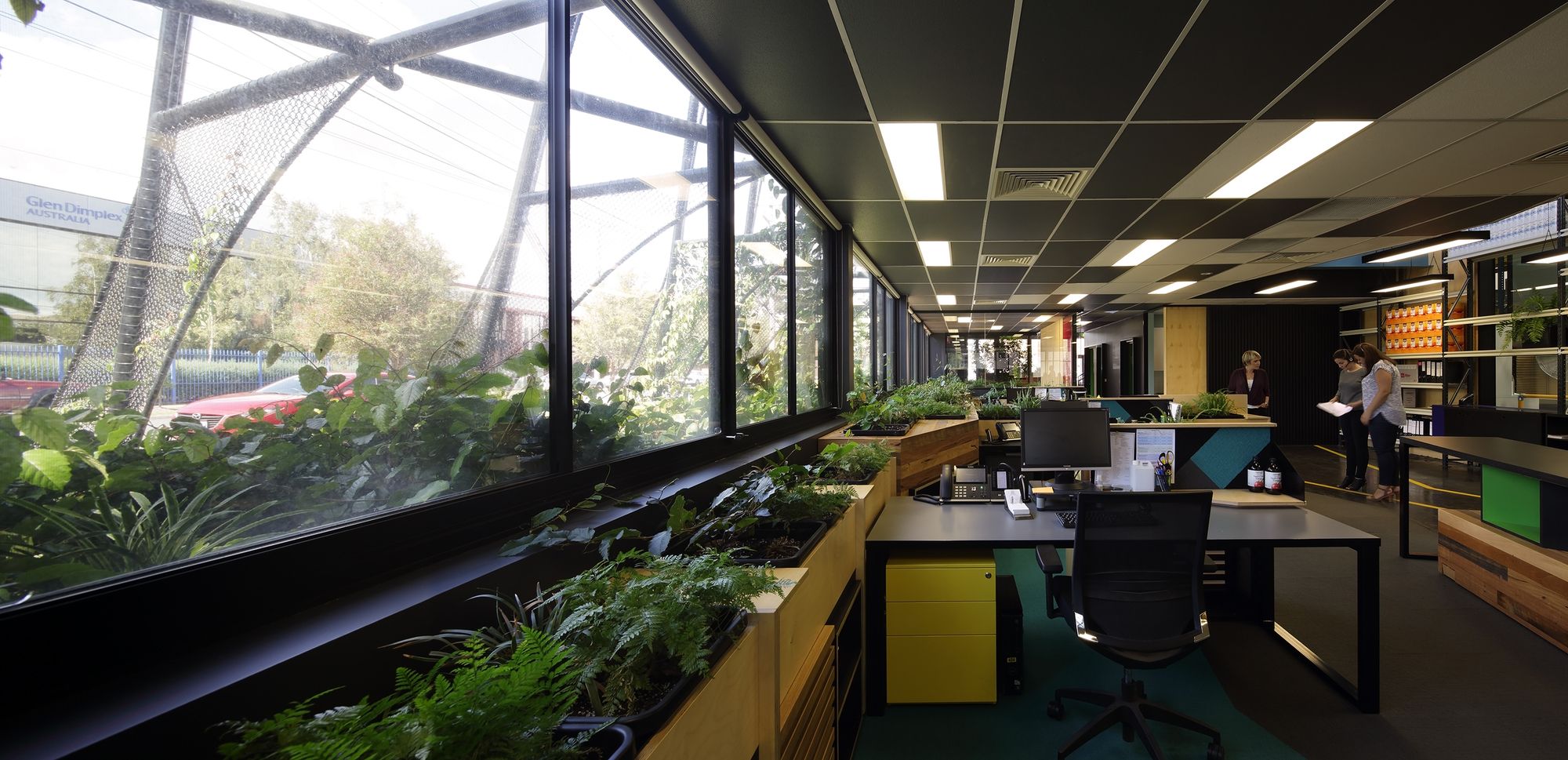 梅尔罗斯健康-7