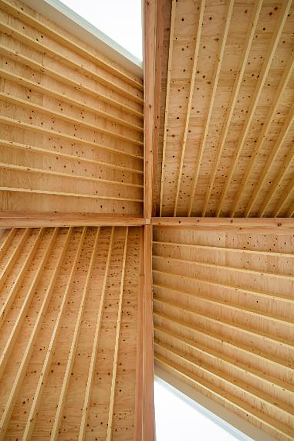 富津的周末住宅丨日本东京丨Atelier MEME-27