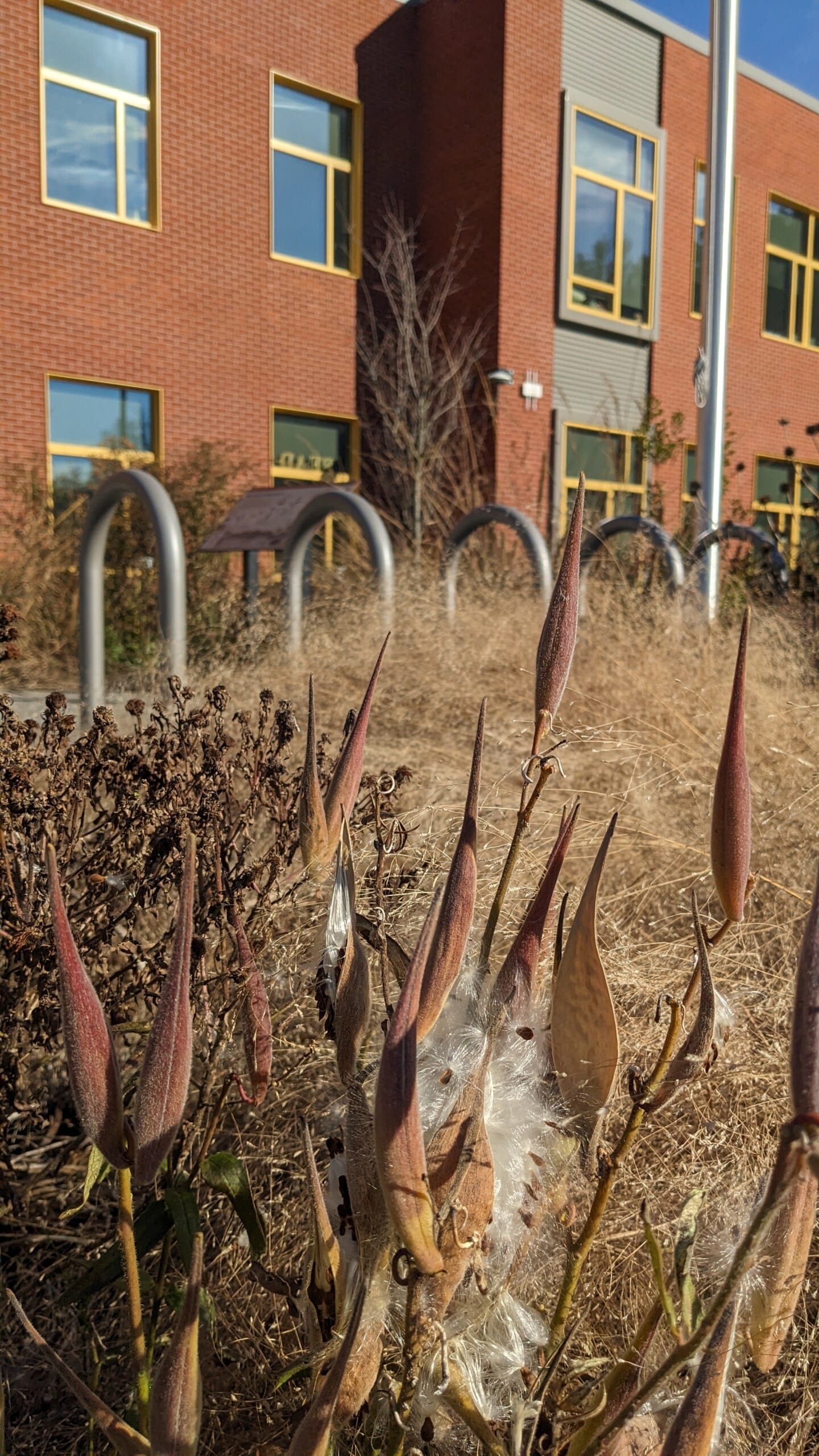 SHAW ELEMENTARY SCHOOL - Dodson & Flinker - Landscape Architecture and Planning-16