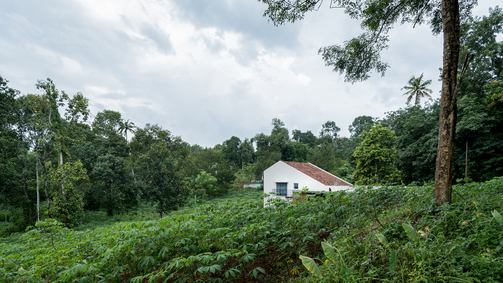 香叶屋丨印度丨Project 51 A (h)-31