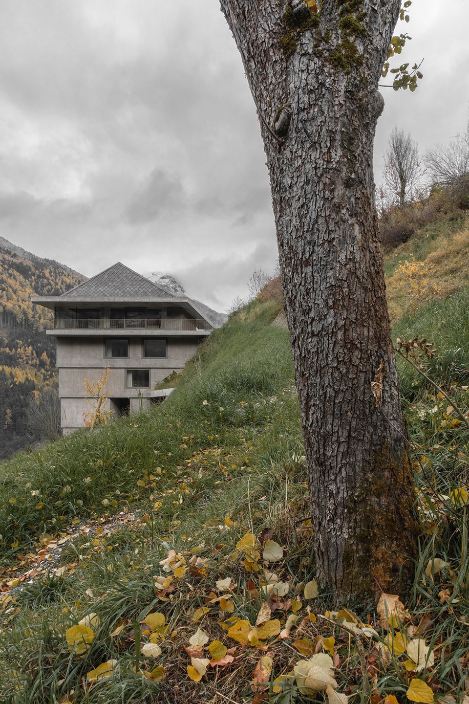 意大利山坡上的低能耗住宅丨Pedevilla Architects-3