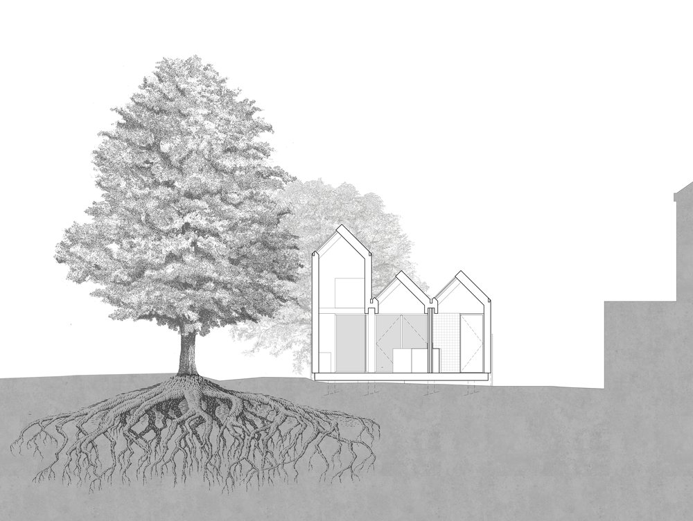 Highbury的小房子丨Lynch Architects-11