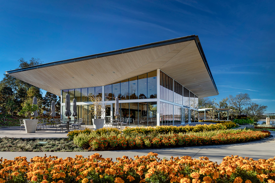 夏洛特与唐纳德试验馆，美国德克萨斯州 / Buchanan Architecture-11