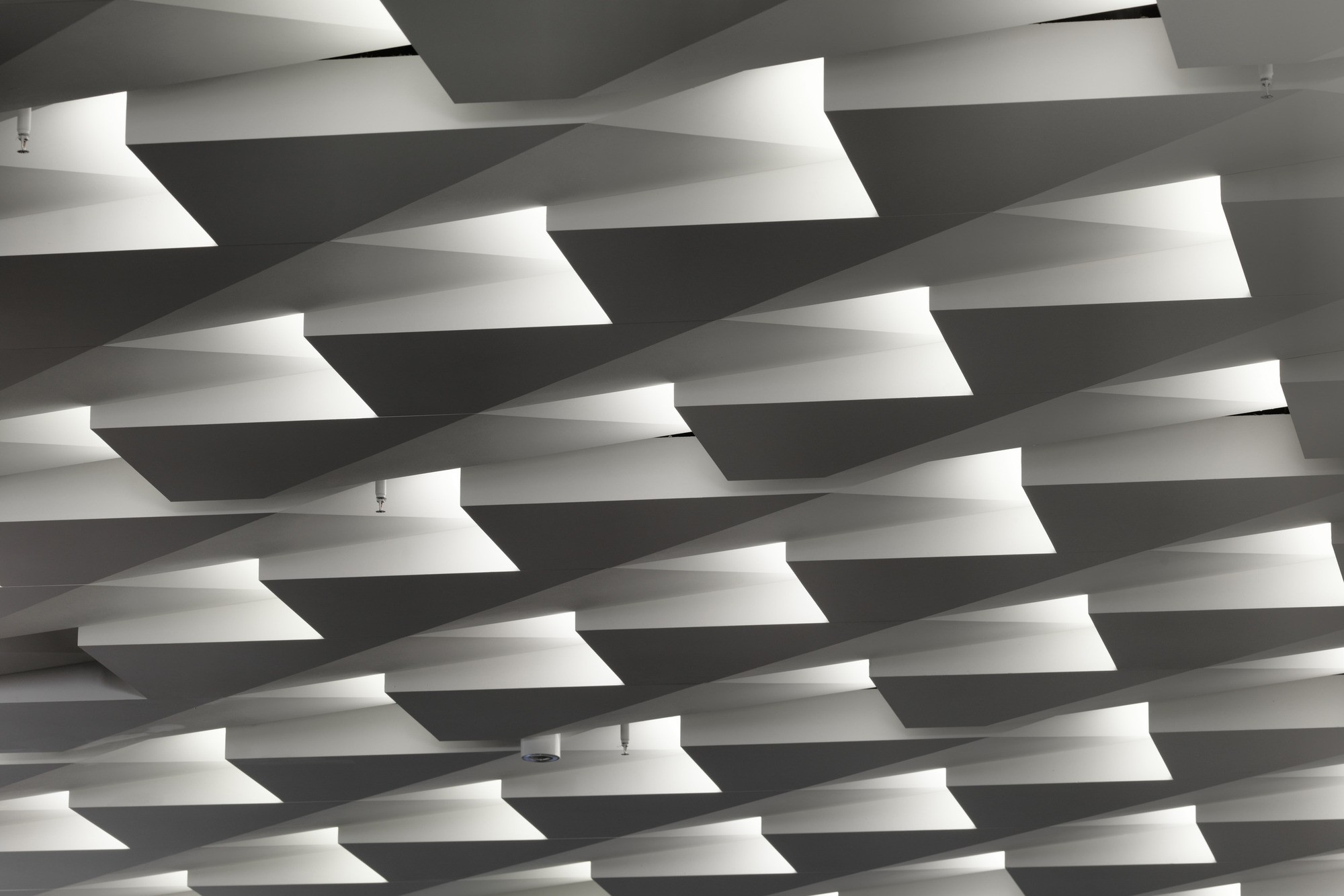 Back Stories | Wardle-2