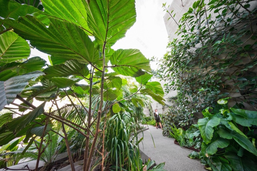 墨尔本圣地纪念馆丨澳大利亚墨尔本丨Rush Wright Associates-17