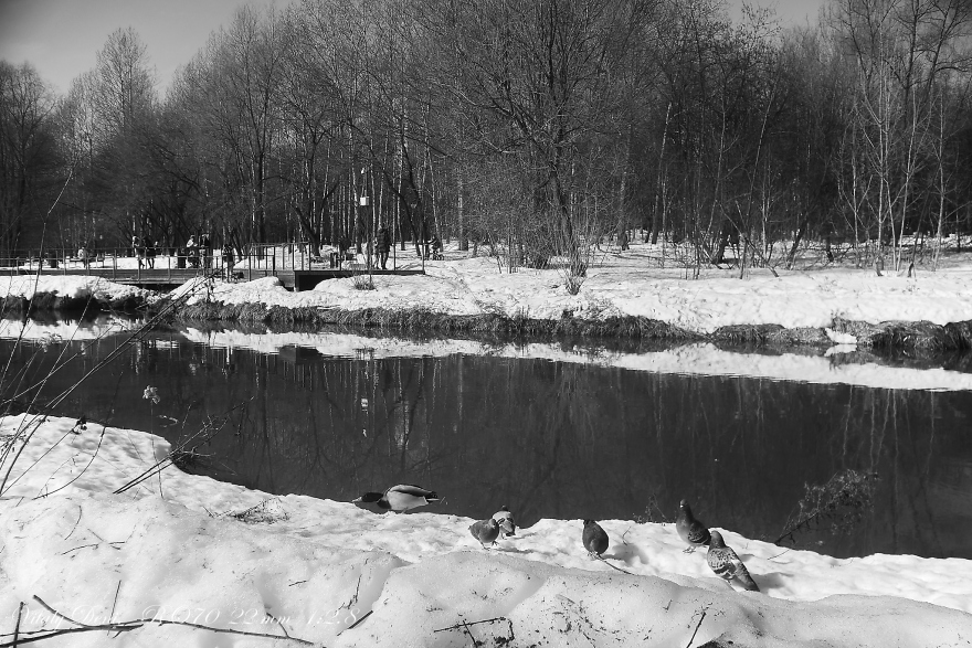 黑白早春绘画系列创作-17