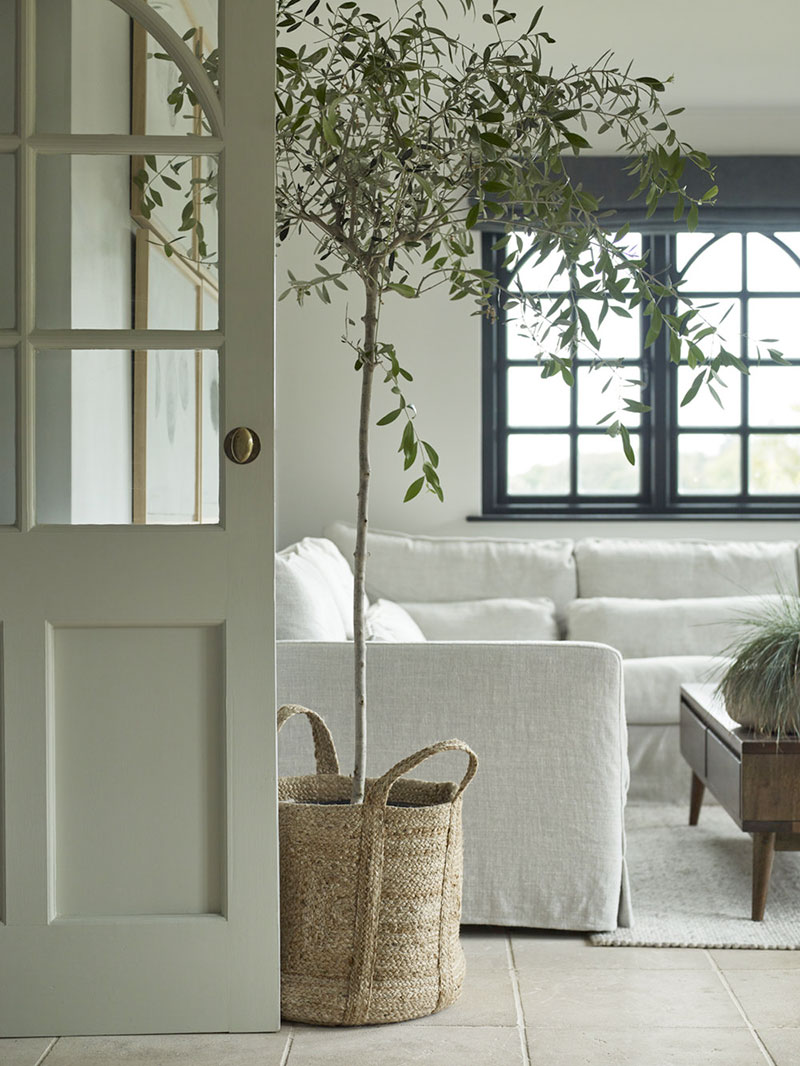 英伦乡村自然风 | Devon 郡舒适小屋设计与自然完美融合-2