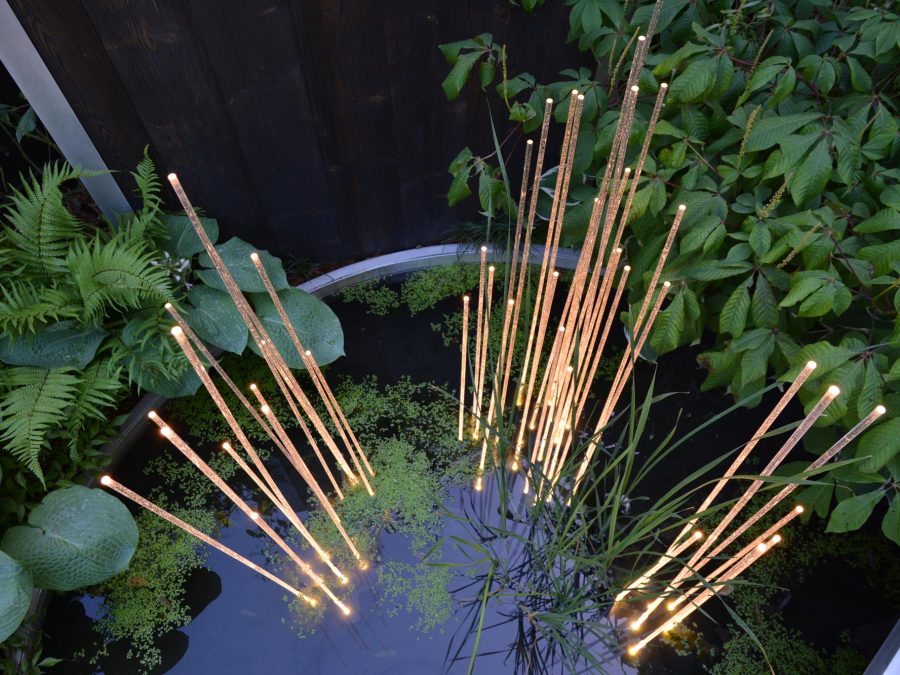 Eau de bonheur - Didier Danet - Entreprise Paysagiste-54