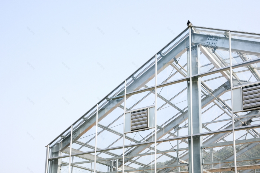 Glass House Laboratory / STAY Architects-29