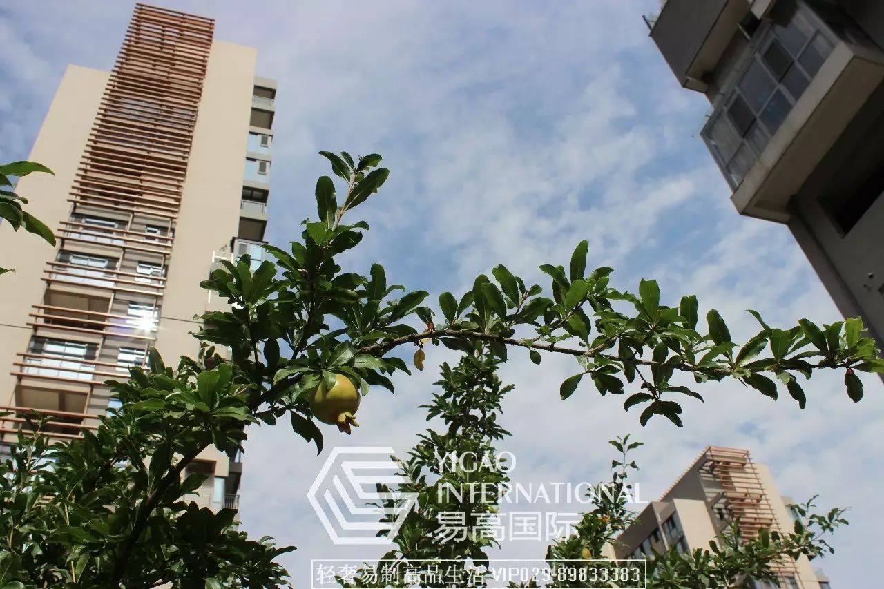 湖城大境-- 天字一号 | 欧式新古典的优雅奢华-2