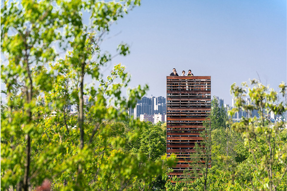 上海桃浦中央绿地丨中国上海丨James Corner Field Operations-39