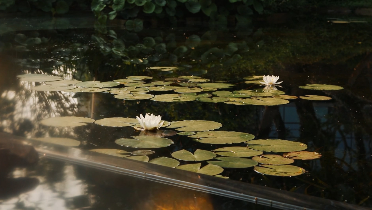 成都宸嘉·嘉佰道景观设计丨中国成都丨WTD纬图设计-47