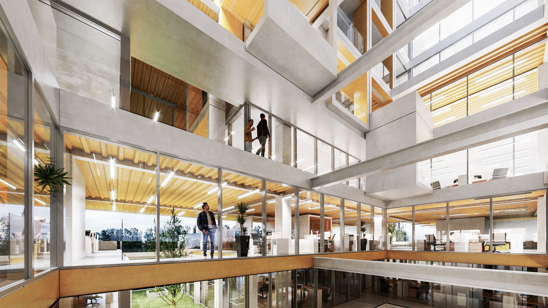 黄色细胞办公室丨Cedrus Studio-13