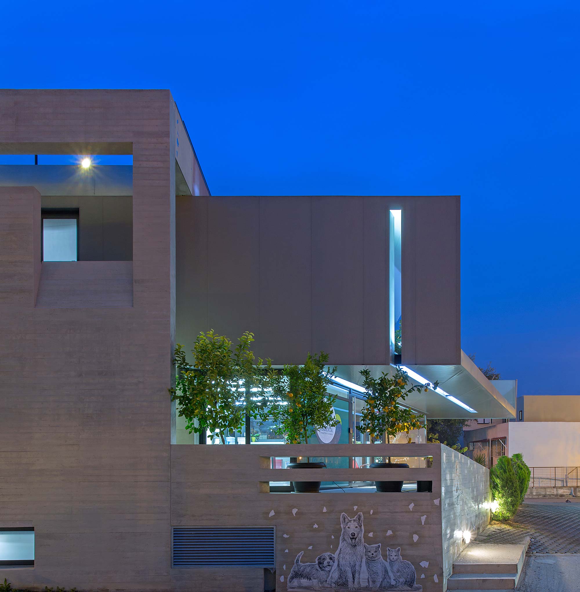 希腊 Aghia Paraskevi 兽医诊所-32