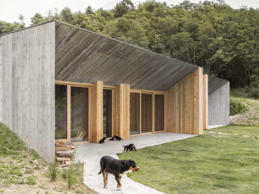 “La Dolce Mela" Agritour Farmhouse / studio raro-22