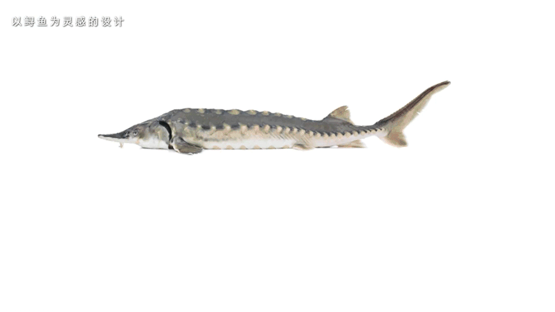 鲟龙湾文旅博物馆丨中国湖北丨上海天华建筑设计有限公司-26