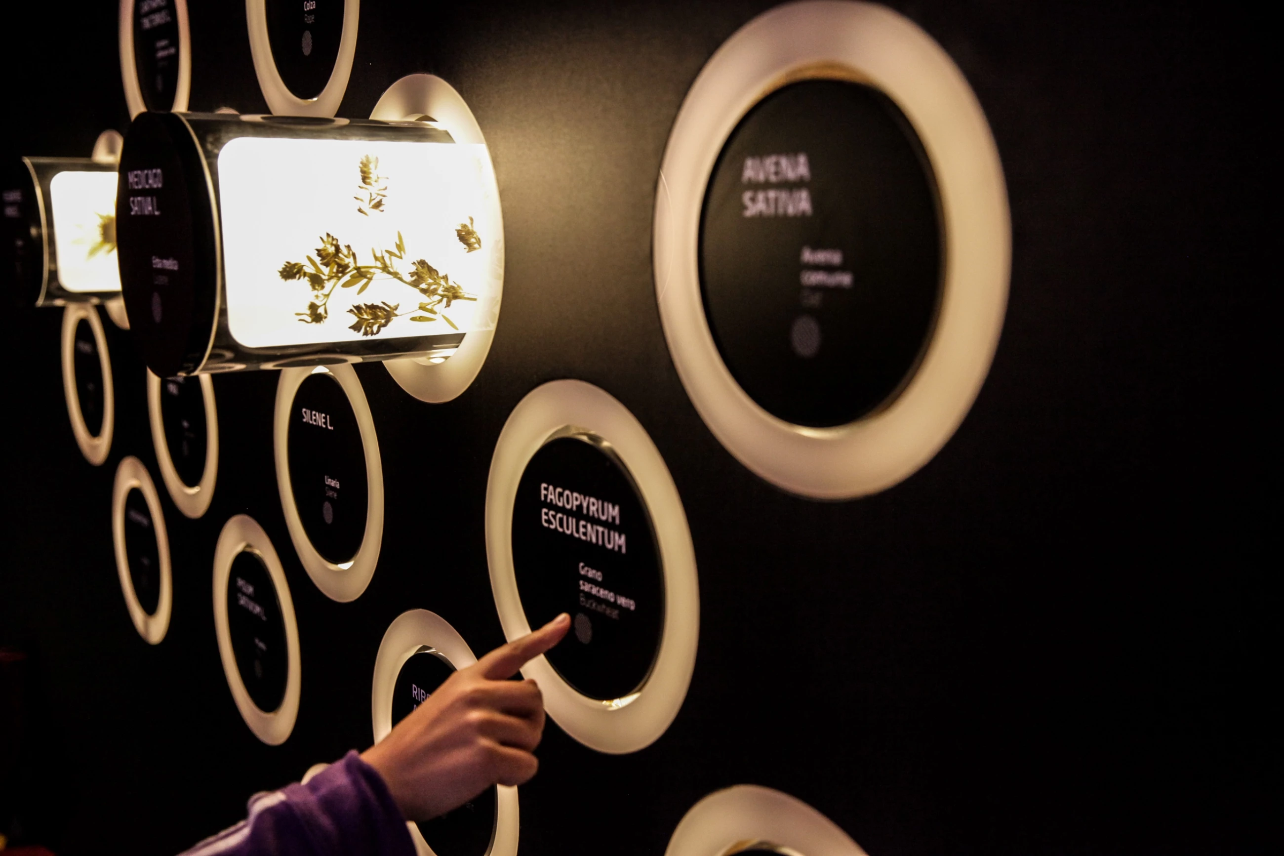 哈萨克斯坦 2015 世博会展馆 | 呈现传统与现代的和谐共生-12