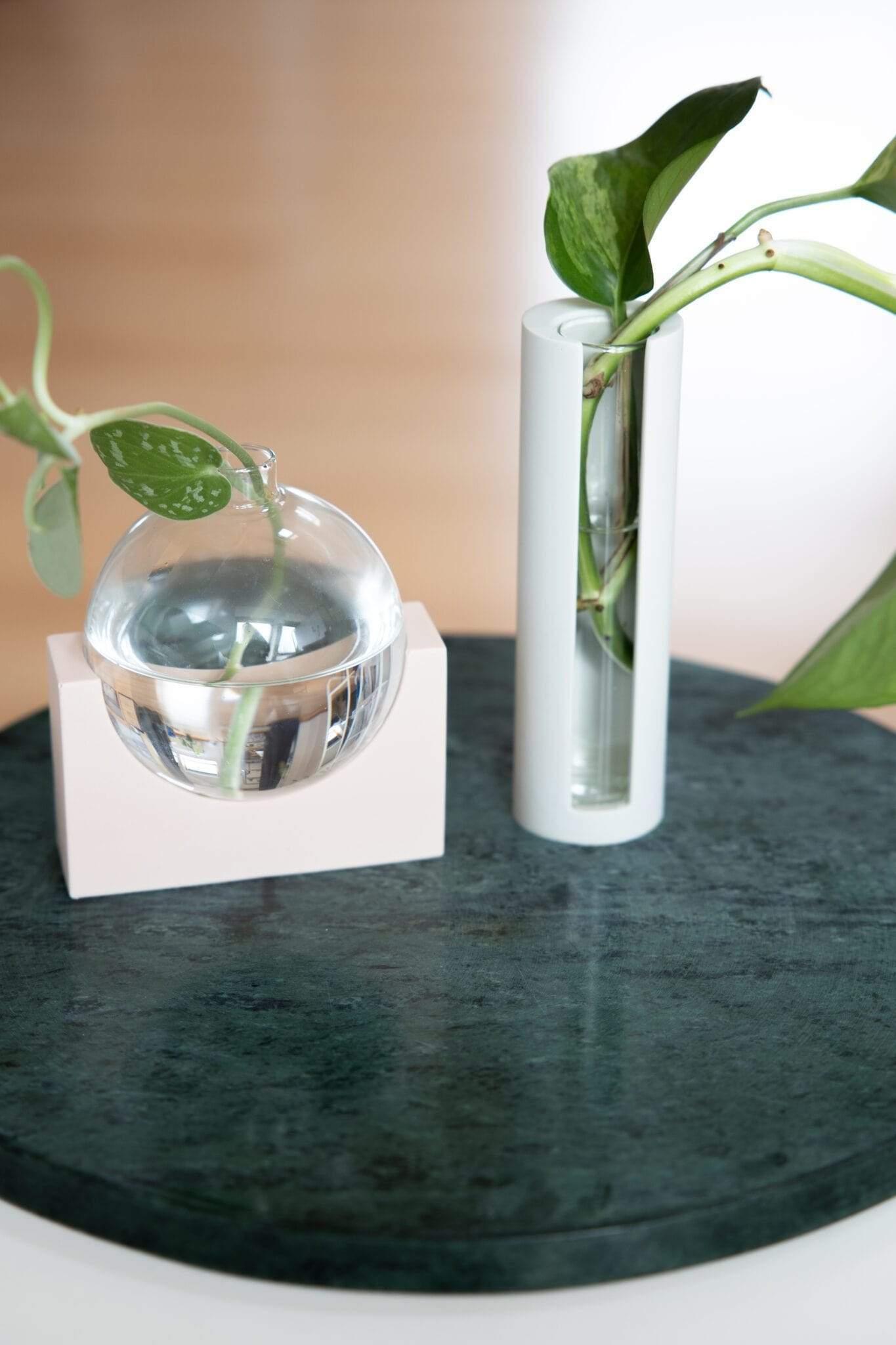 植物剪切新时尚 | 比利时 House Raccoon 设计的水晶 propagation station-15