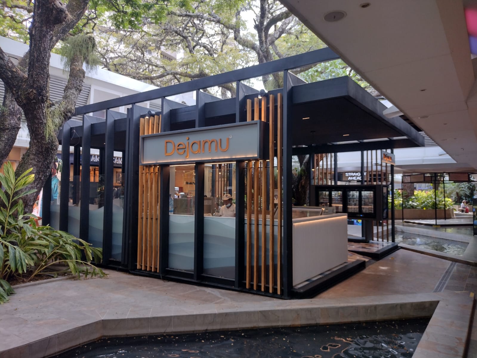 Plazoleta C.C Unicentro Cali - Dejamu-13