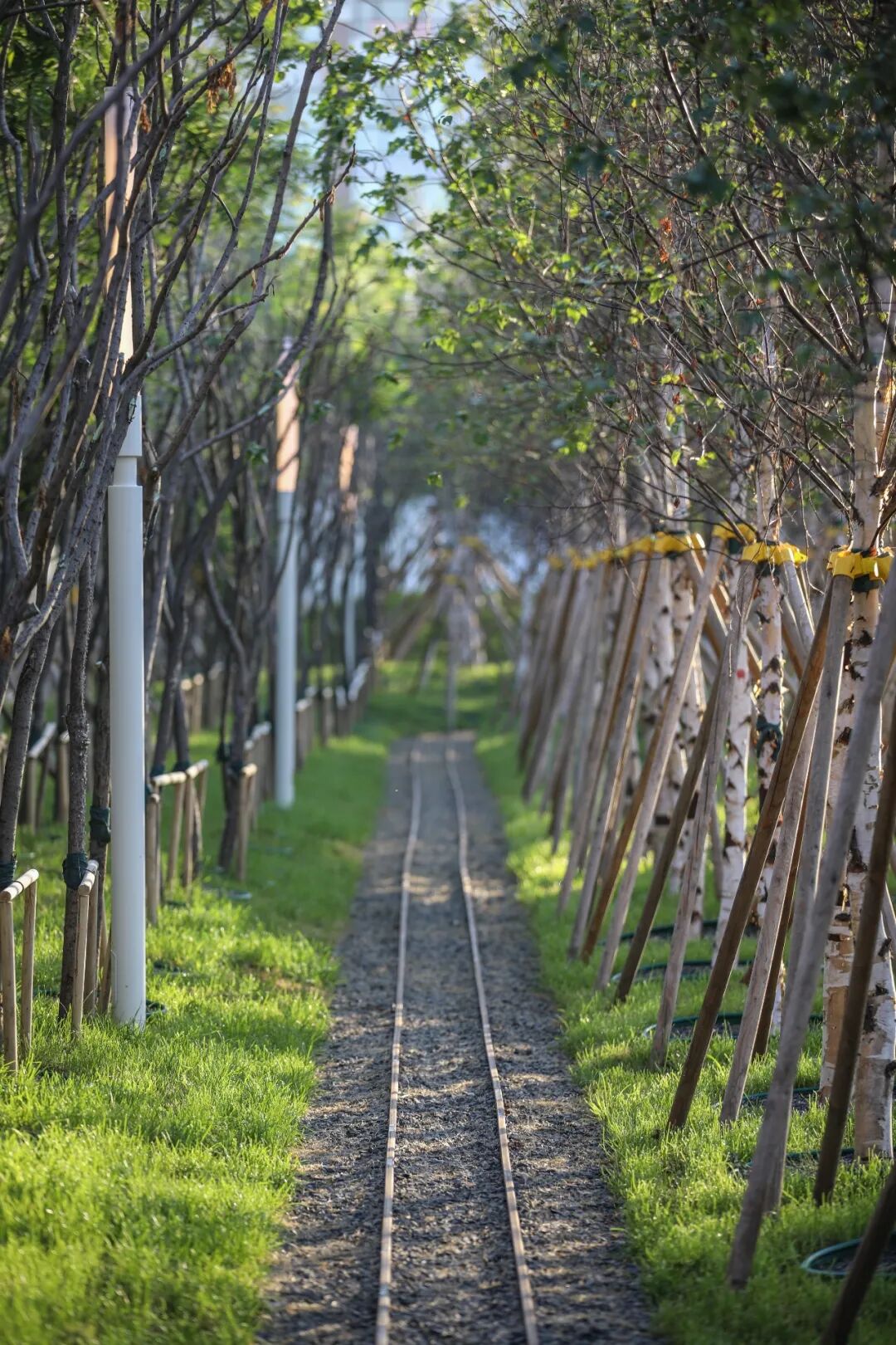 转角遇见暖意，冰城的一抹新绿 万科鲸鱼悦府丨中国哈尔滨丨ZAP ASSOCIATES-62