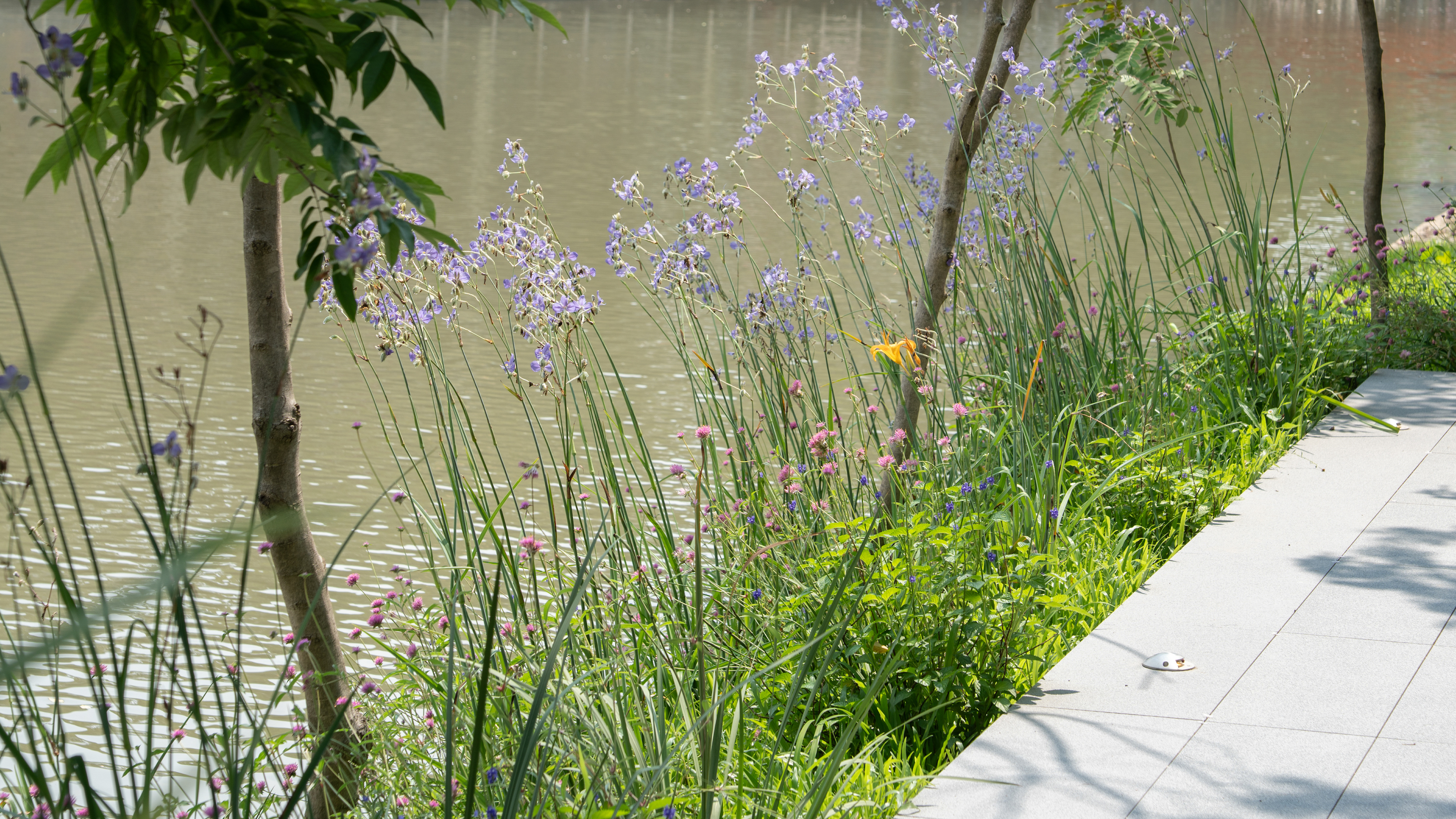 广州亚运公园丨中国运城丨广亩景观-59