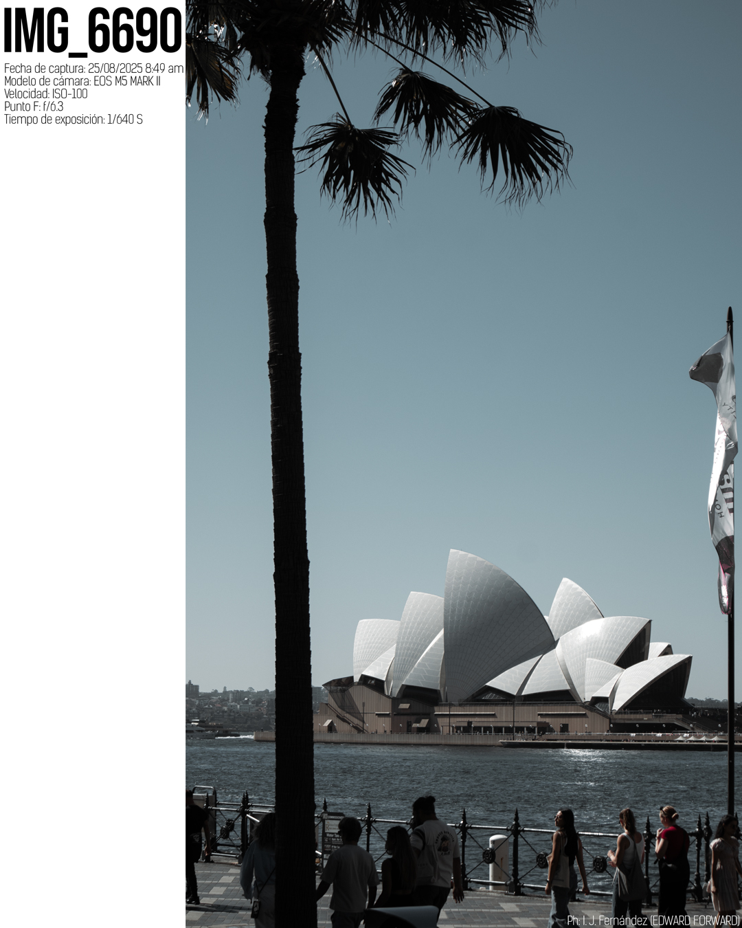 Winter Thoughts II-5