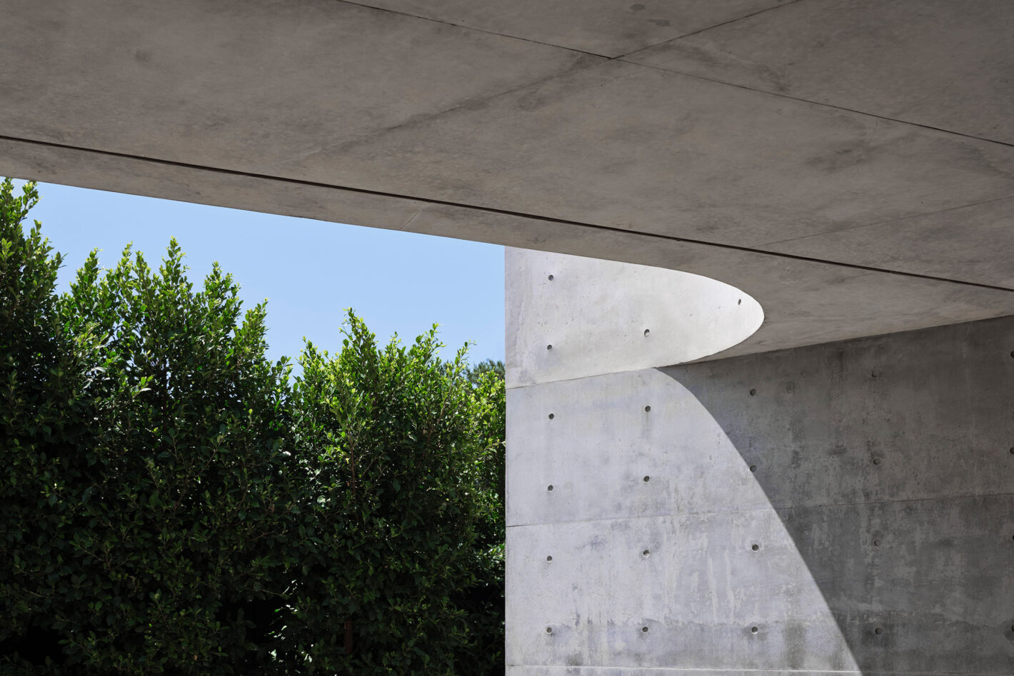 杨梅智能设计工作室

注：Arbutus常见释义为杨梅属植物，这里结合语境按杨梅理解进行翻译 丨澳大利亚悉尼-15