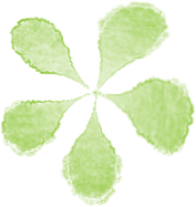 “五一”趣玩｜闲来无事，到荔枝公园喝茶去～-9