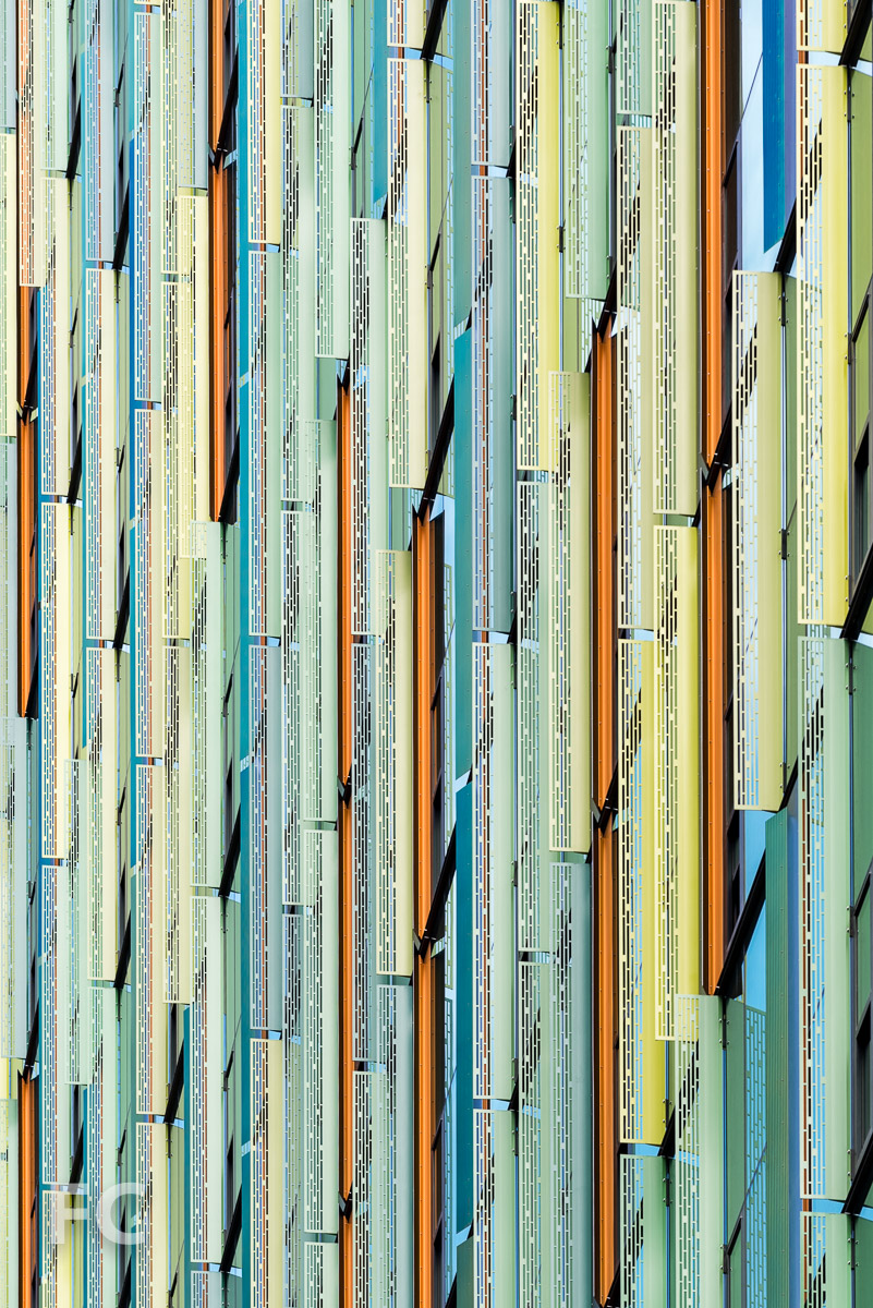 Amazon Headquarters Seattle — FIELD CONDITION-6