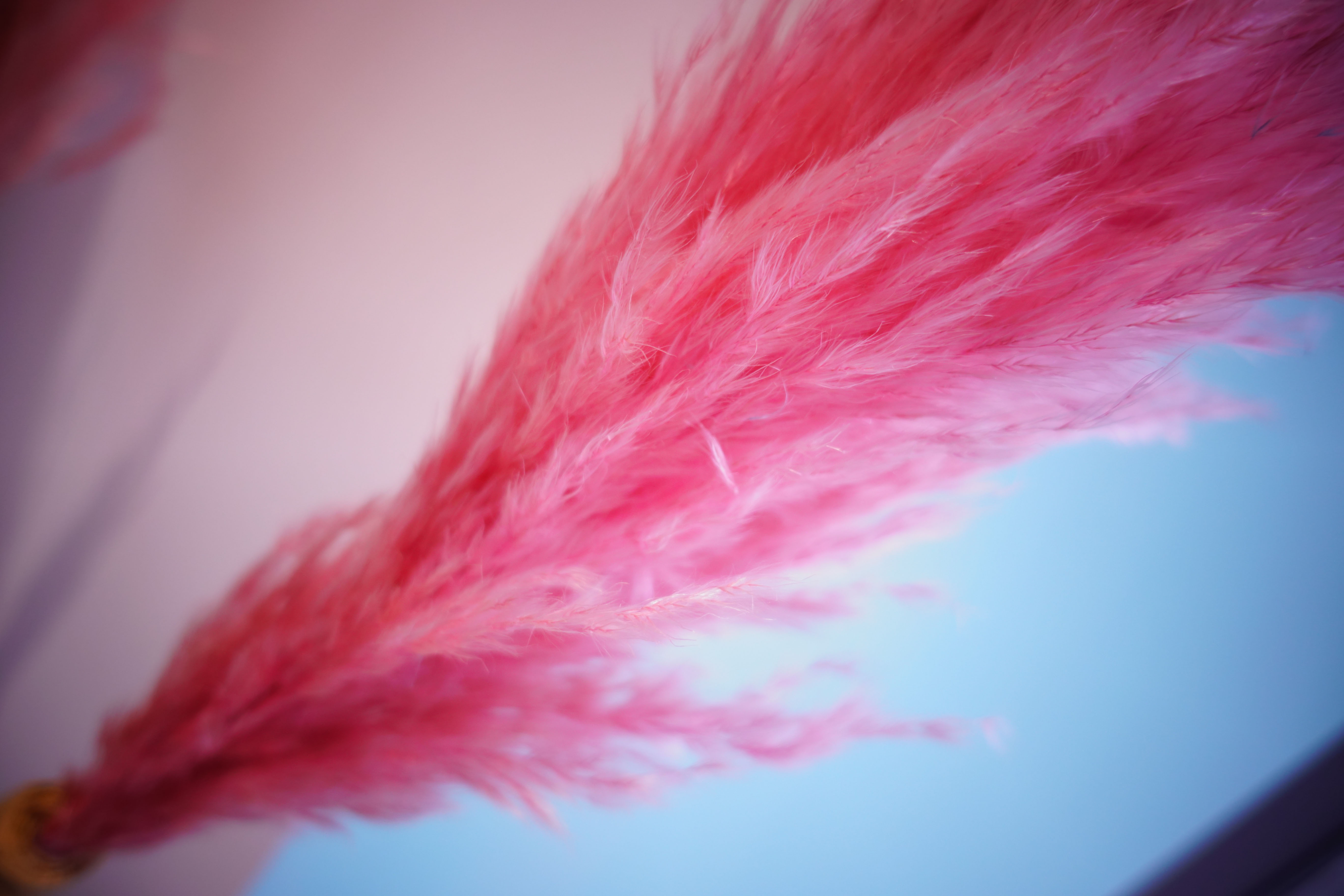 Best & Bestie Will® 全球设计师集合概念店-43