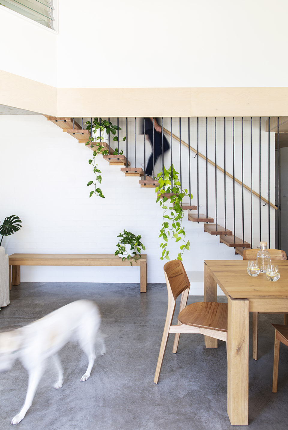 Macdonald Road 住宅丨澳大利亚珀斯丨Philip Stejskal Architecture-42