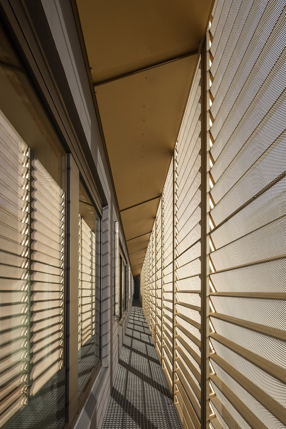 PointeàPitre 法院丨印度丨Ignacio Prego Architectures-22