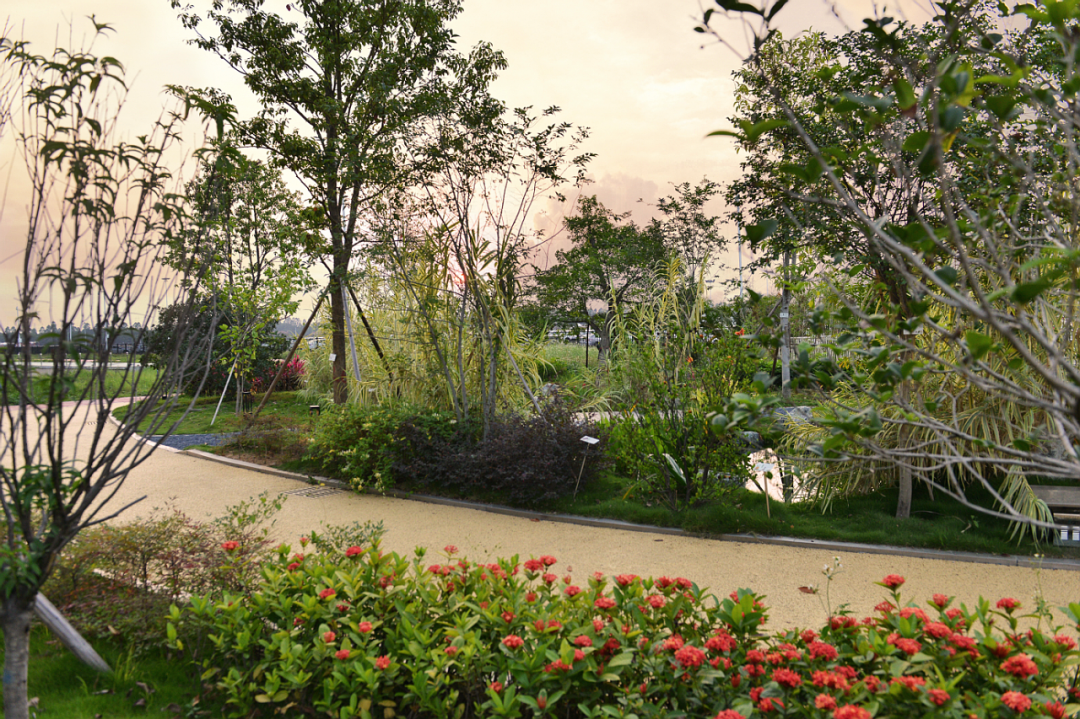 广汽丰田生态园·工业绿色风景线丨普邦设计-35