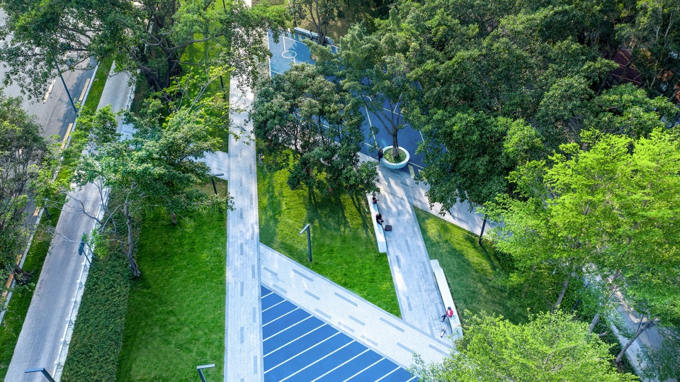 罗湖区“三横四纵”道路沿线视觉一体化·笋岗东路丨深圳市新西林园林景观有限公司-4