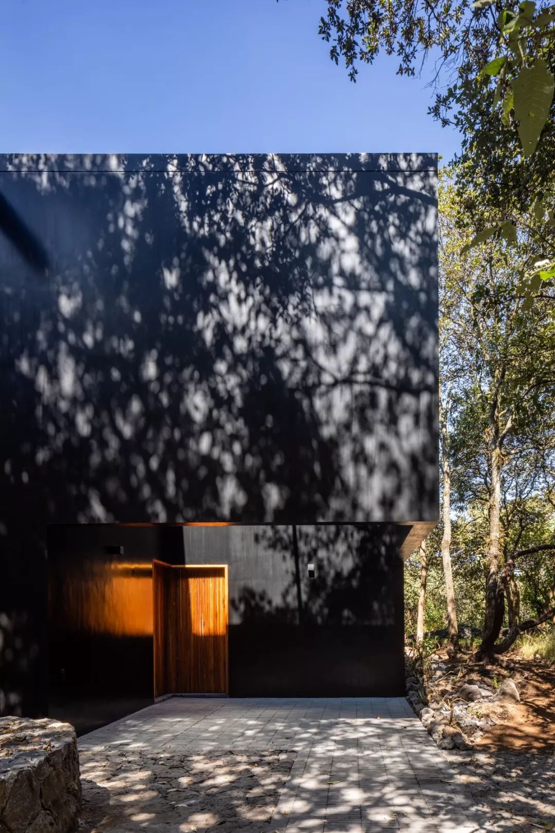 自然灵感,建筑生命——PPAA 的开放设计理念-11