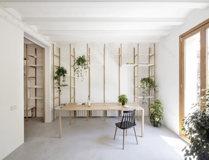 巴塞罗那十九世纪阁楼住宅,空间重塑与自然融合-18