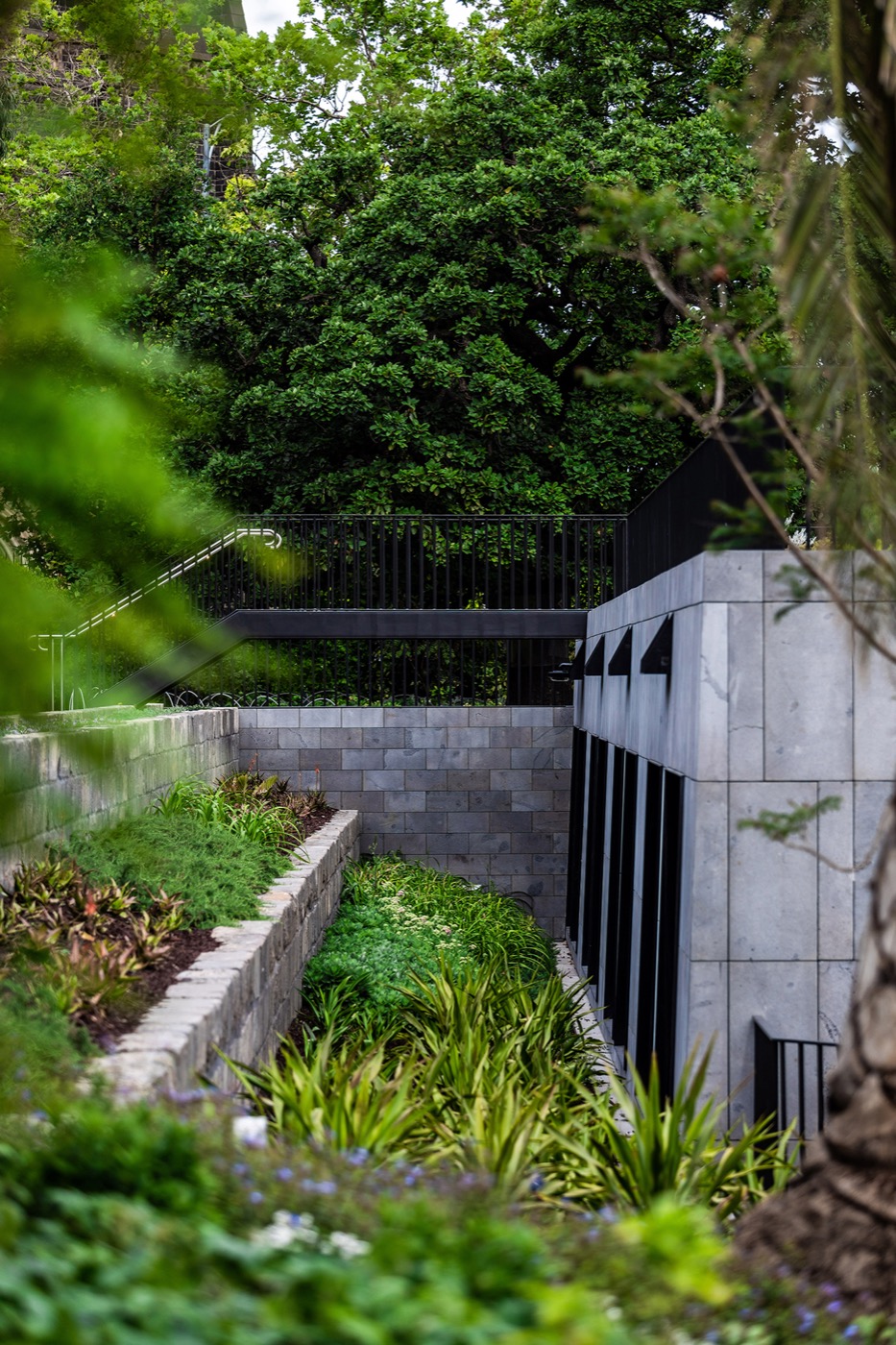 墨尔本议会大厦附属建筑丨澳大利亚-6