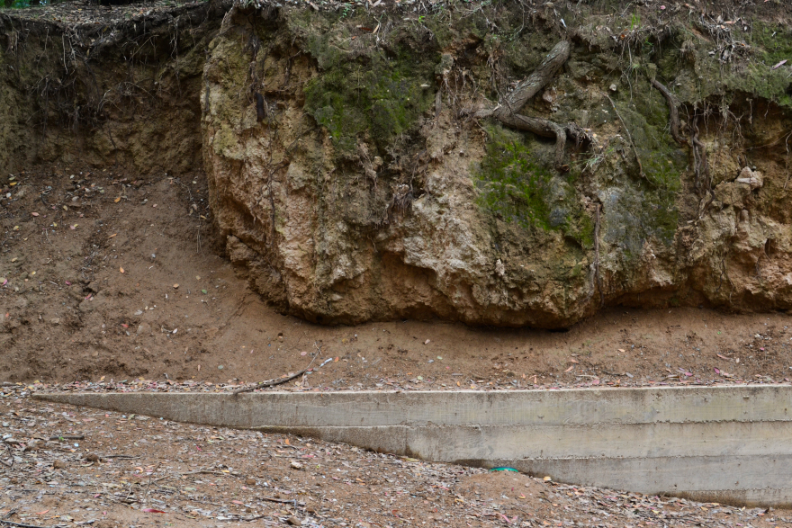 湖边森林中的悬浮桥亭-14