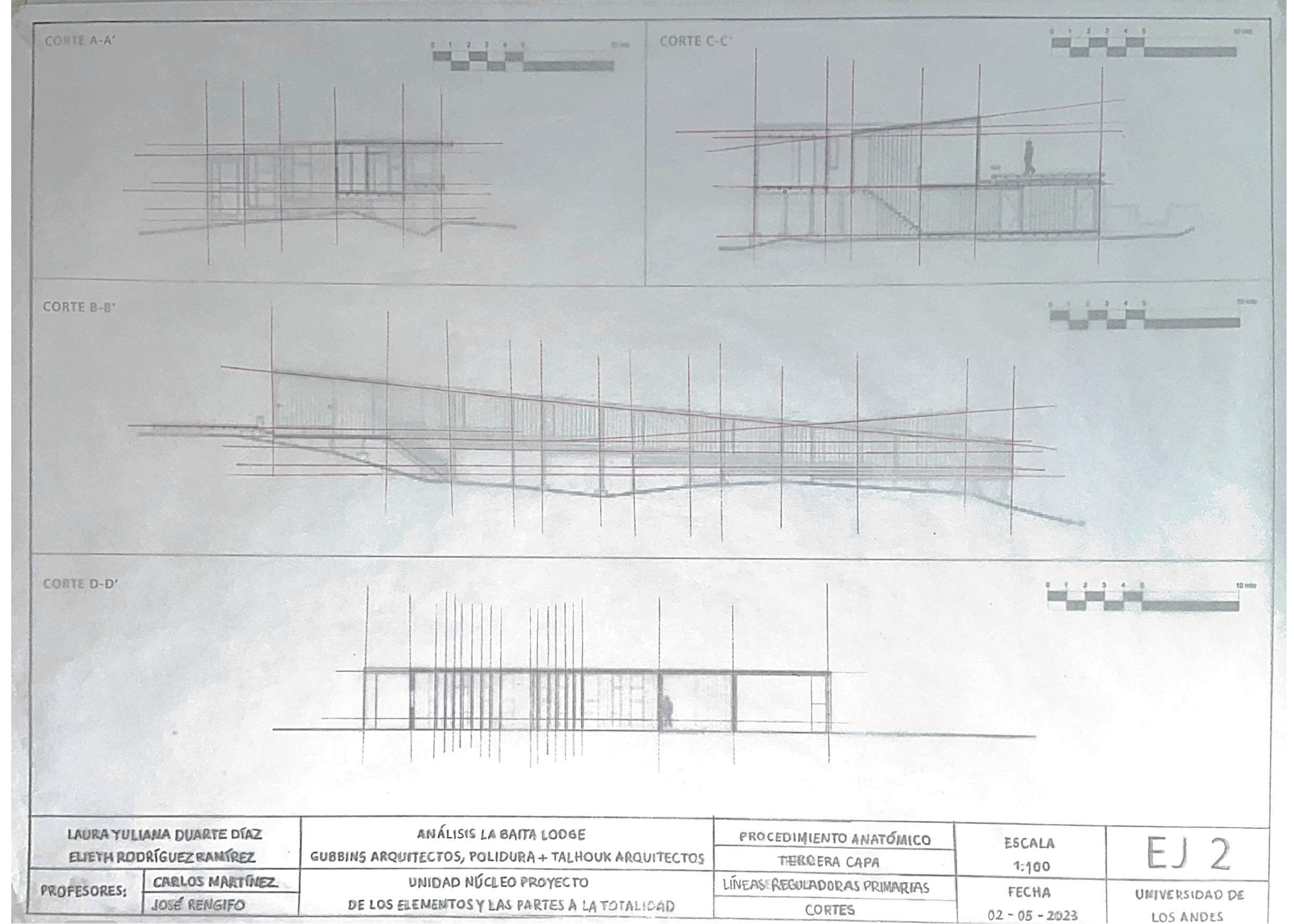 ARQT 2101 - Procedimiento anatómico 2-13