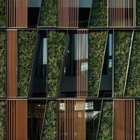 绿先生 | 把热带雨林搬进城市的垂直花园之父-67