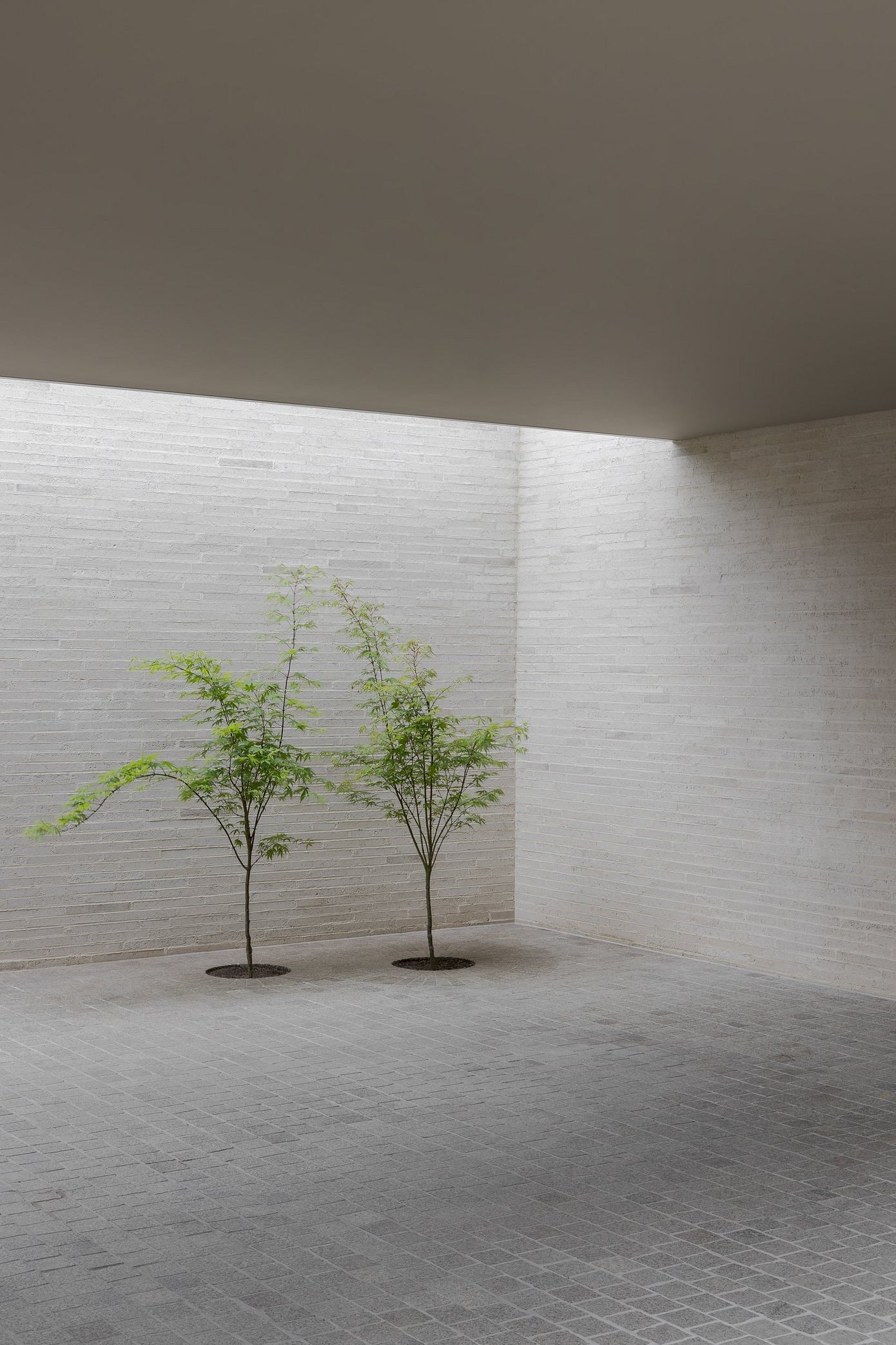 皮瓦之家丨澳大利亚墨尔本丨B.E. Architecture-16